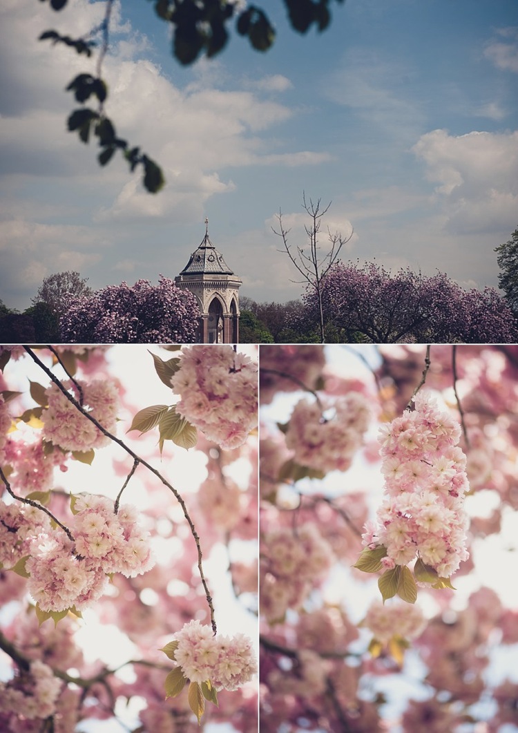 cherry blossoms photoshoot victoria park london photo