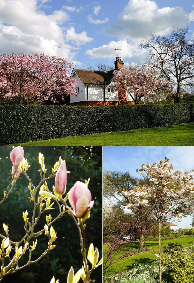 west ham park royal park spring day ornamental gardens london lily sawyer photo.jpg